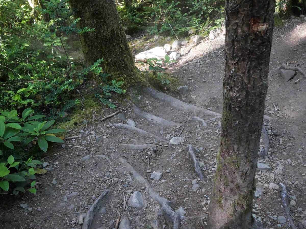 Gold Creek photo 6