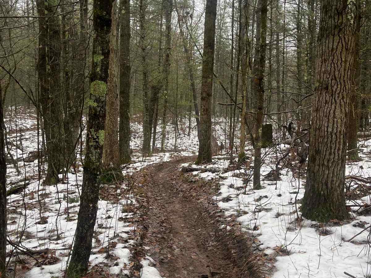 Horseshoe Motorcycle Trail Part 1 photo 3