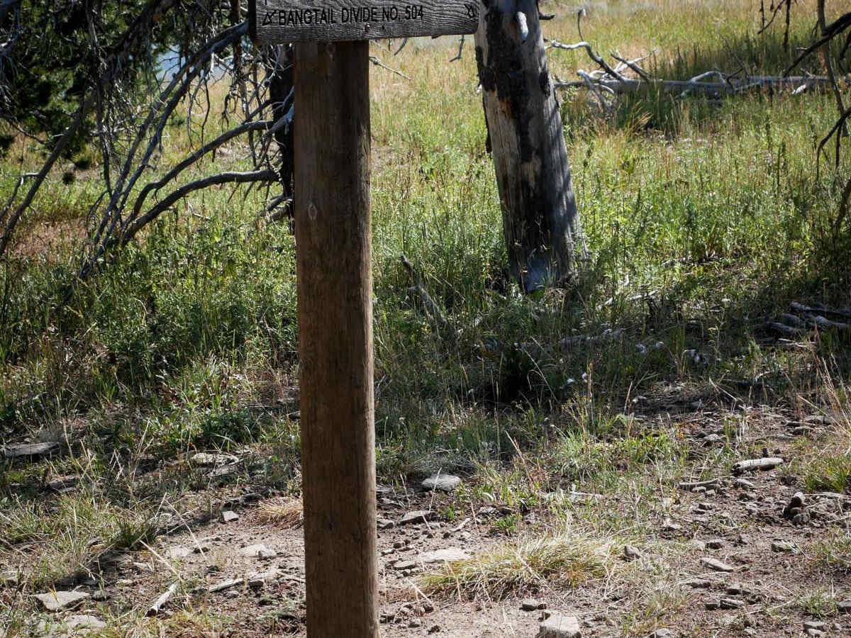 Bangtail Divide trail photo