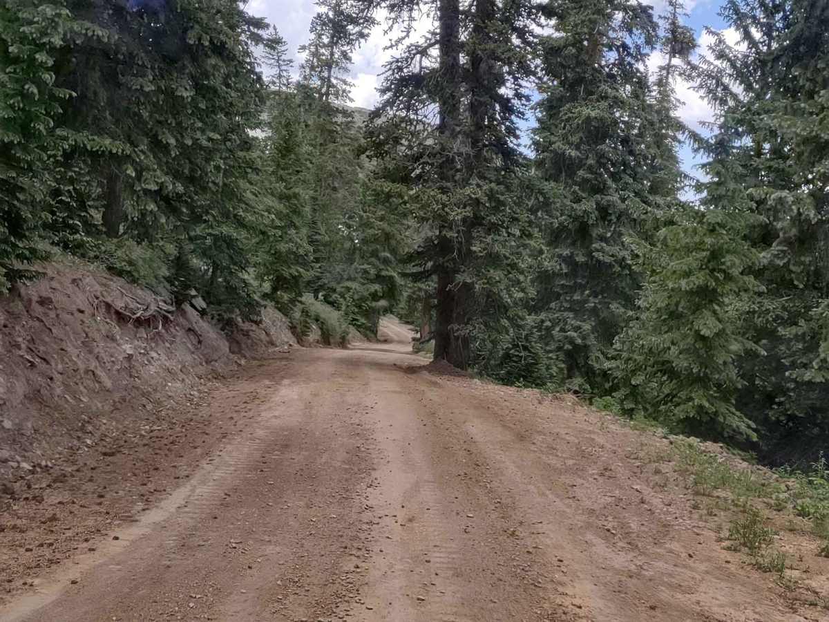 Revenue Gulch - Bullion/Wedge Road photo 4