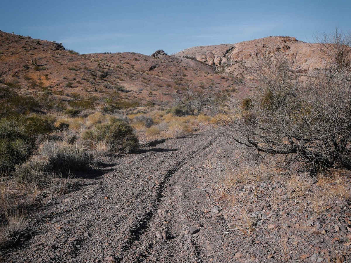 Wash to Ridge Single Track photo 6
