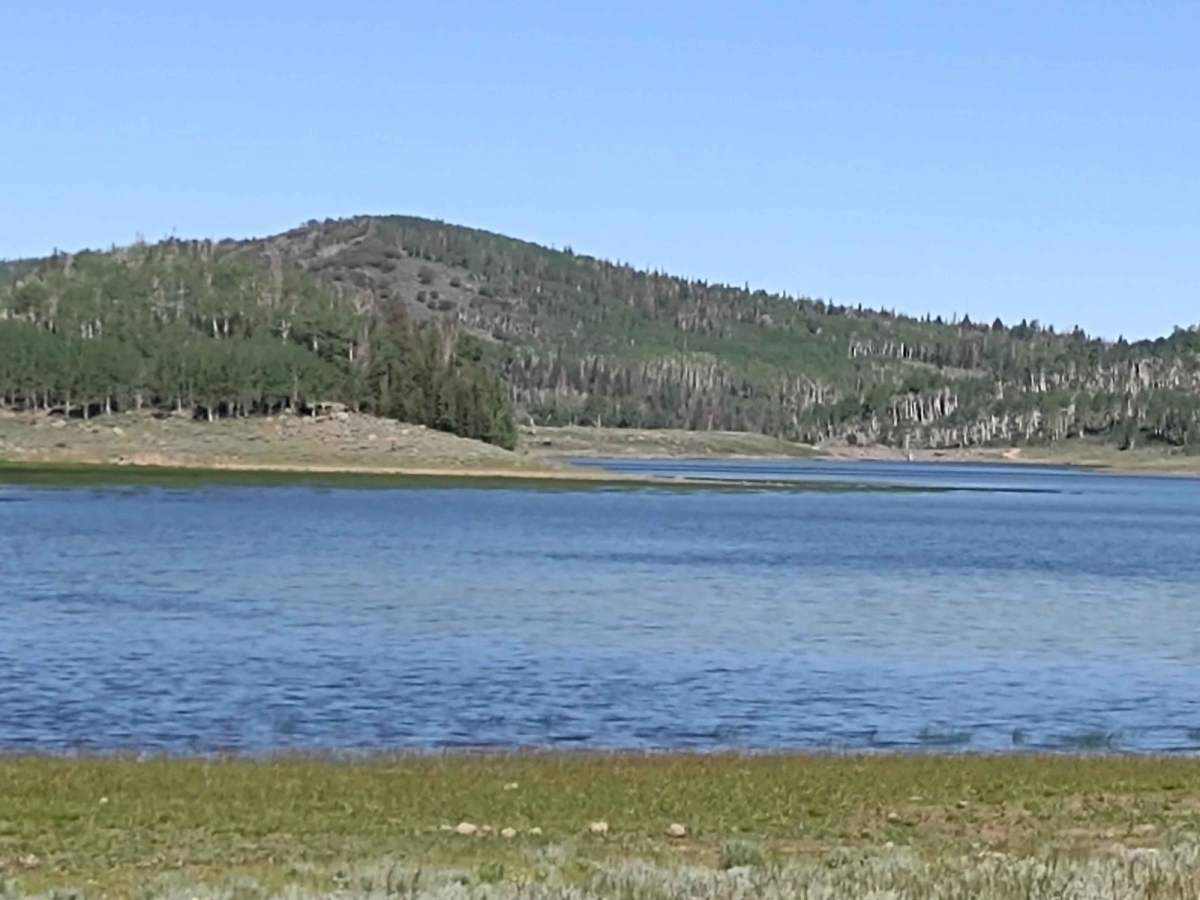 Glenwood Access to Fishlake Natl Forest - FS 40068 photo 6