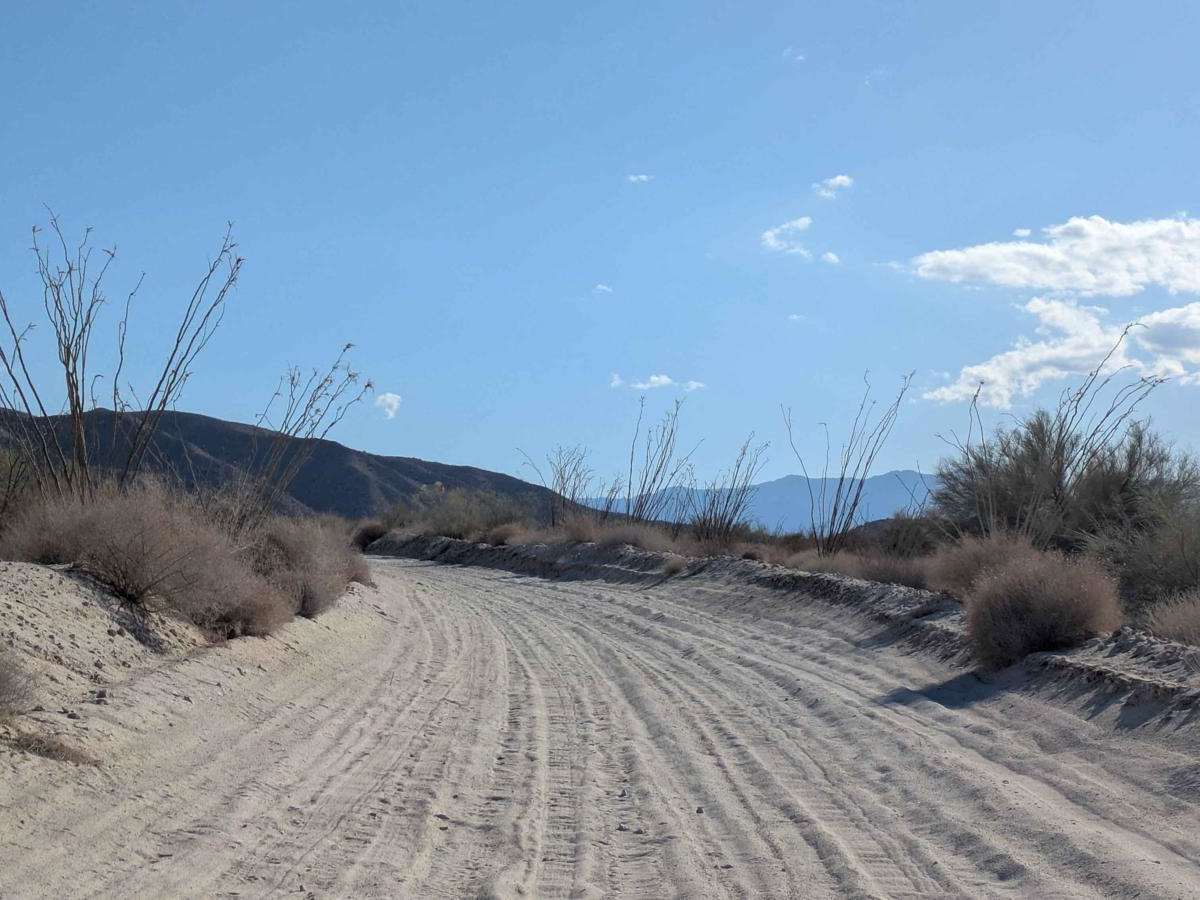 Desert Rise photo 4