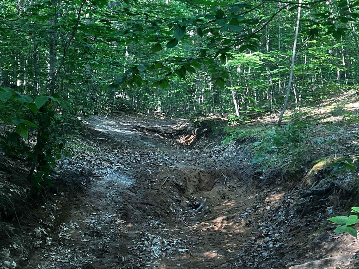NFS 7515 trail photo
