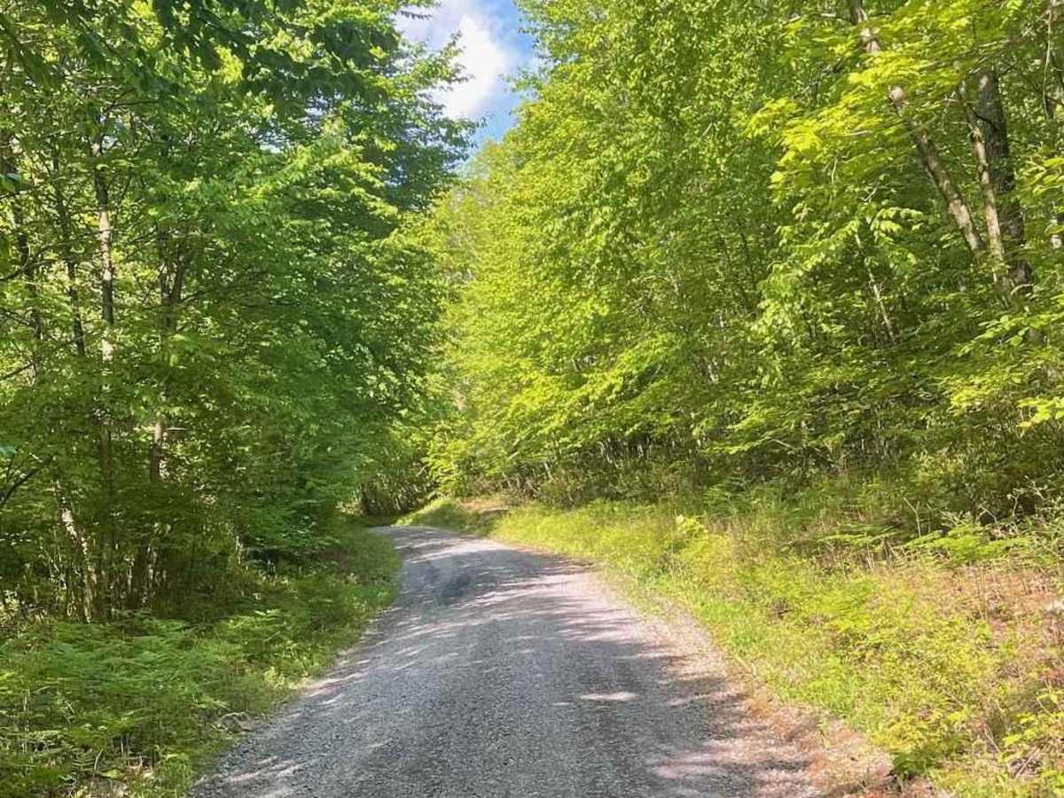 Low Place Road photo 4