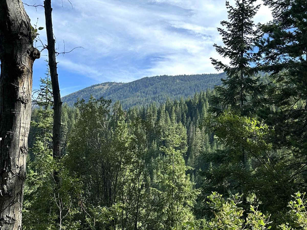 Alder Ridge Loop photo 2