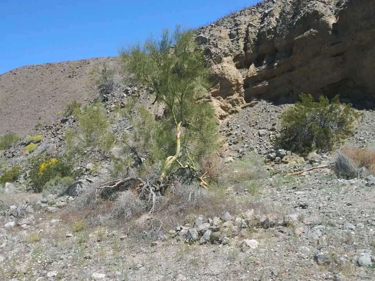 Metal Masher Boulder Wash Spur photo 6