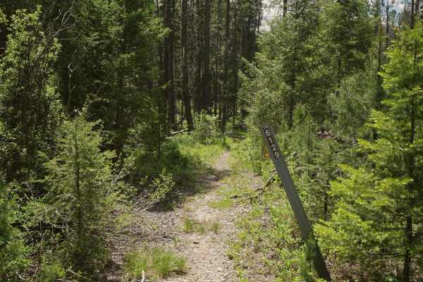 South Fork Sheep Creek