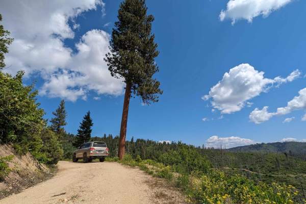 Gold Fork Loop 393 (China Fork West Fork)