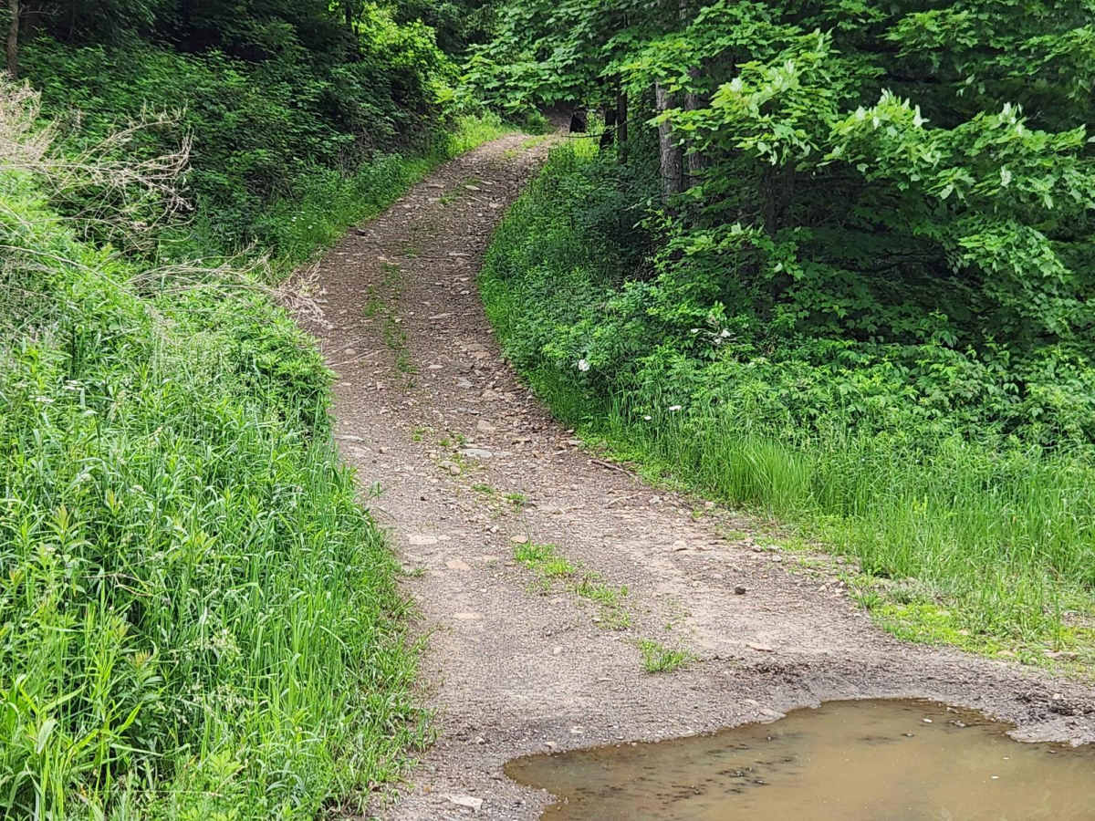 Trail 3G - Rock Run Recreation Area photo 3