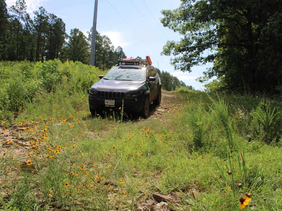 Power Line BUZZ trail photo