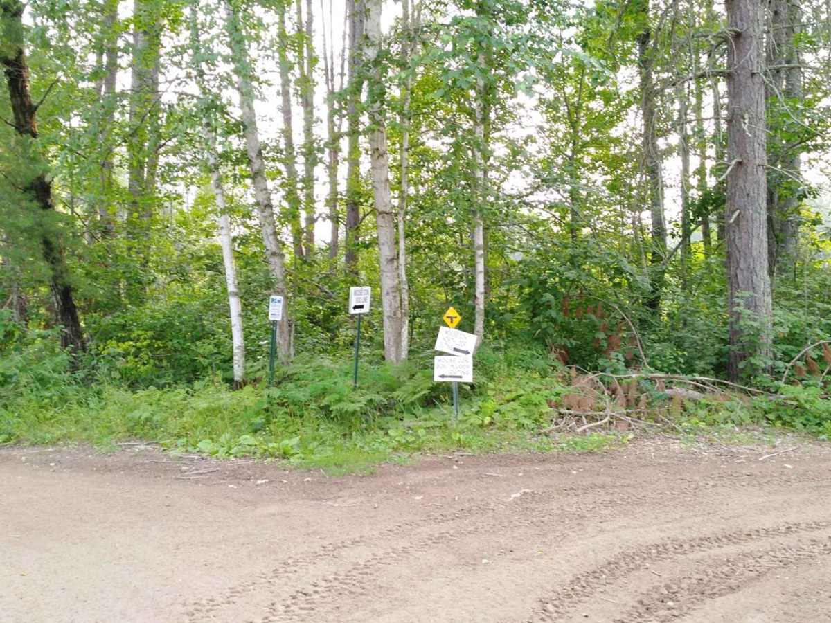 Moose River Connector Trail photo 6