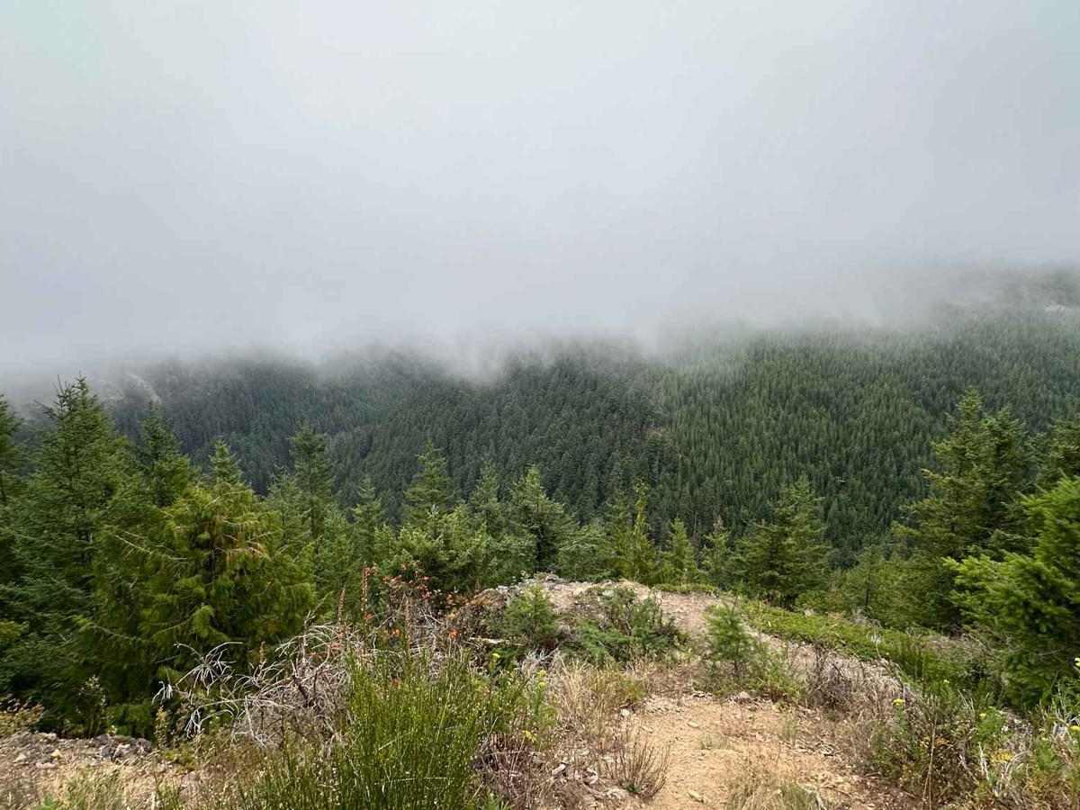 Echo Lake Road - NF 7220 photo 3