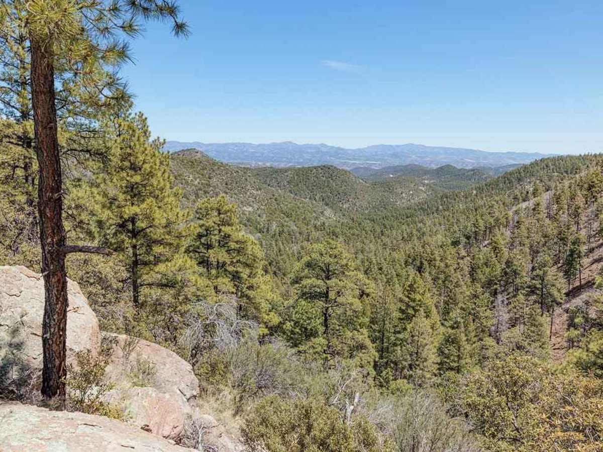 Bear Canyon Rd-FS 855 A photo 5