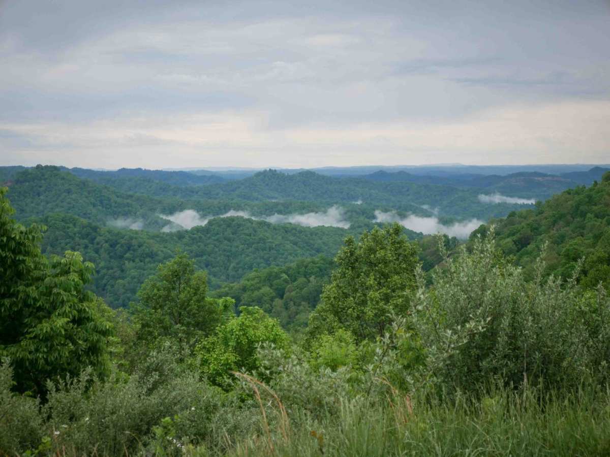 BM 29 trail photo