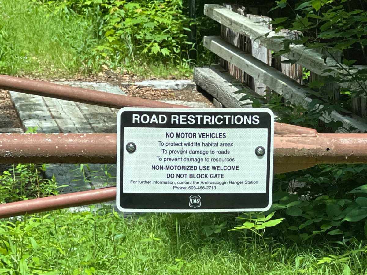 Little Larry Road trail photo
