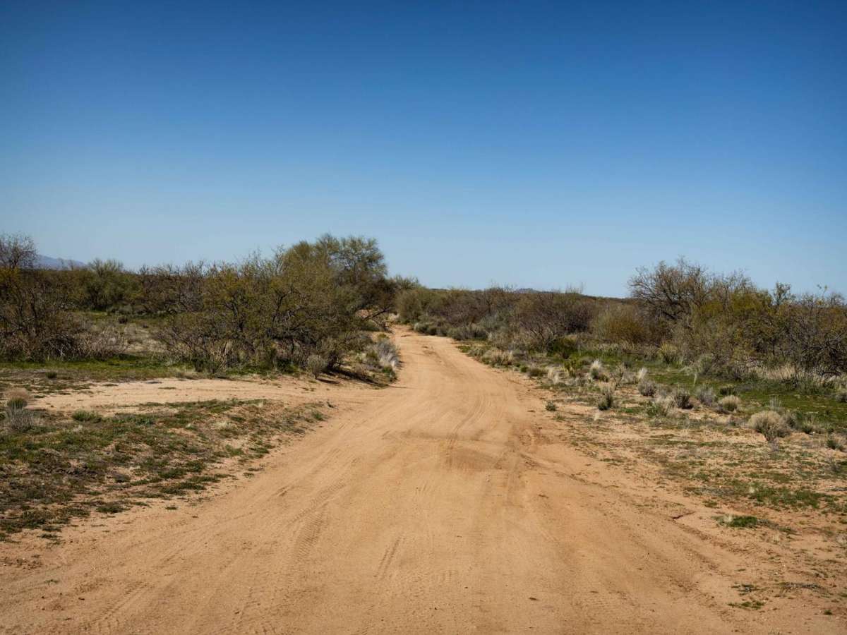 Jackrabbit Way photo 6