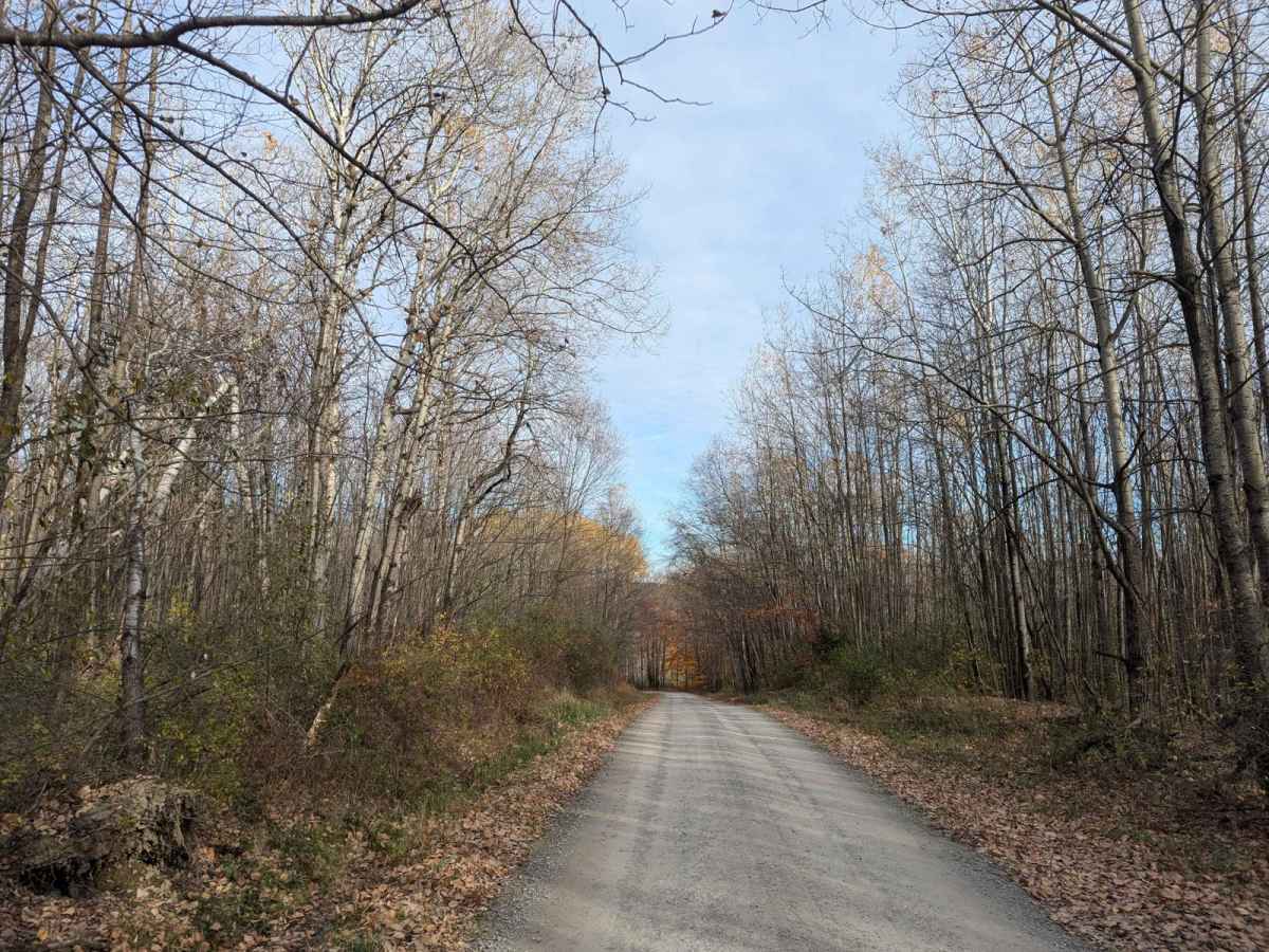 Fox Road photo 6