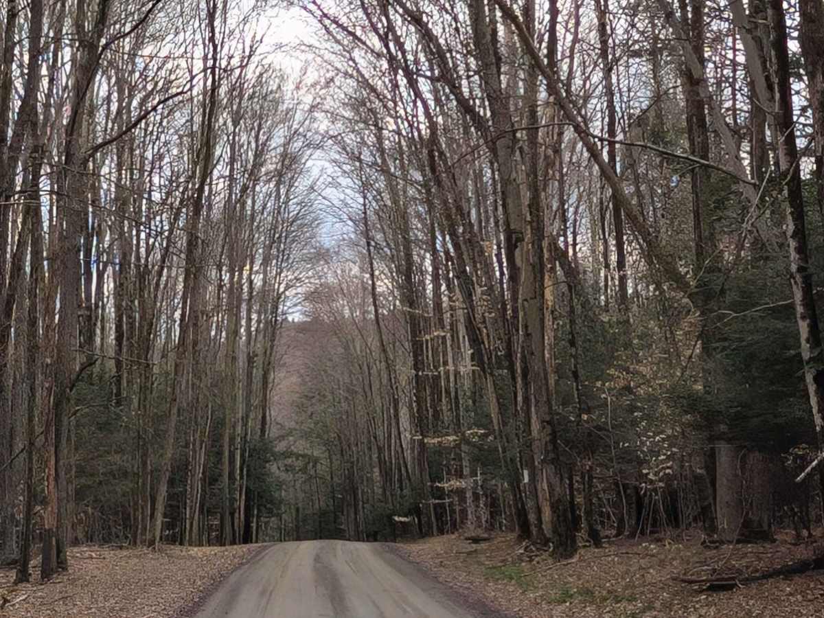 Kuhlman Road photo 3