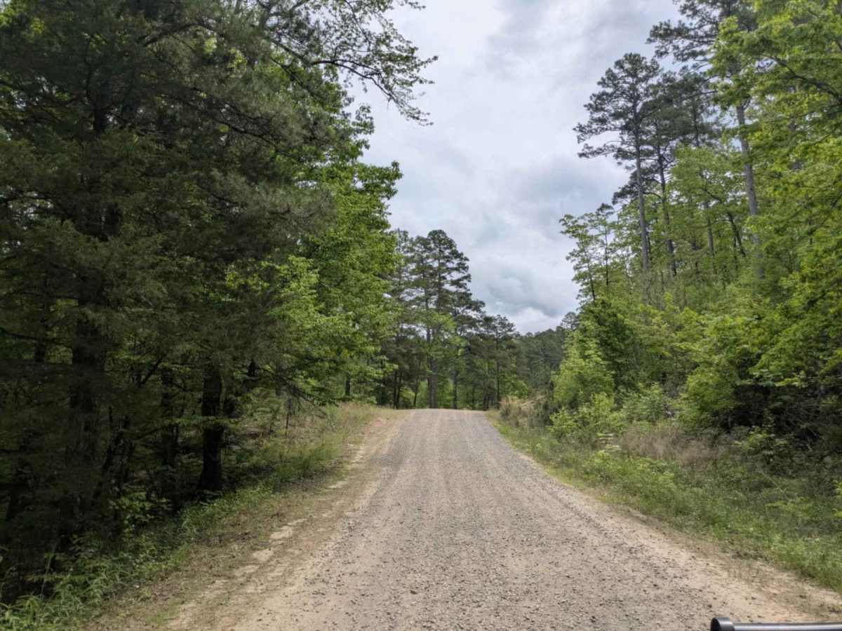FS 1601 trail photo
