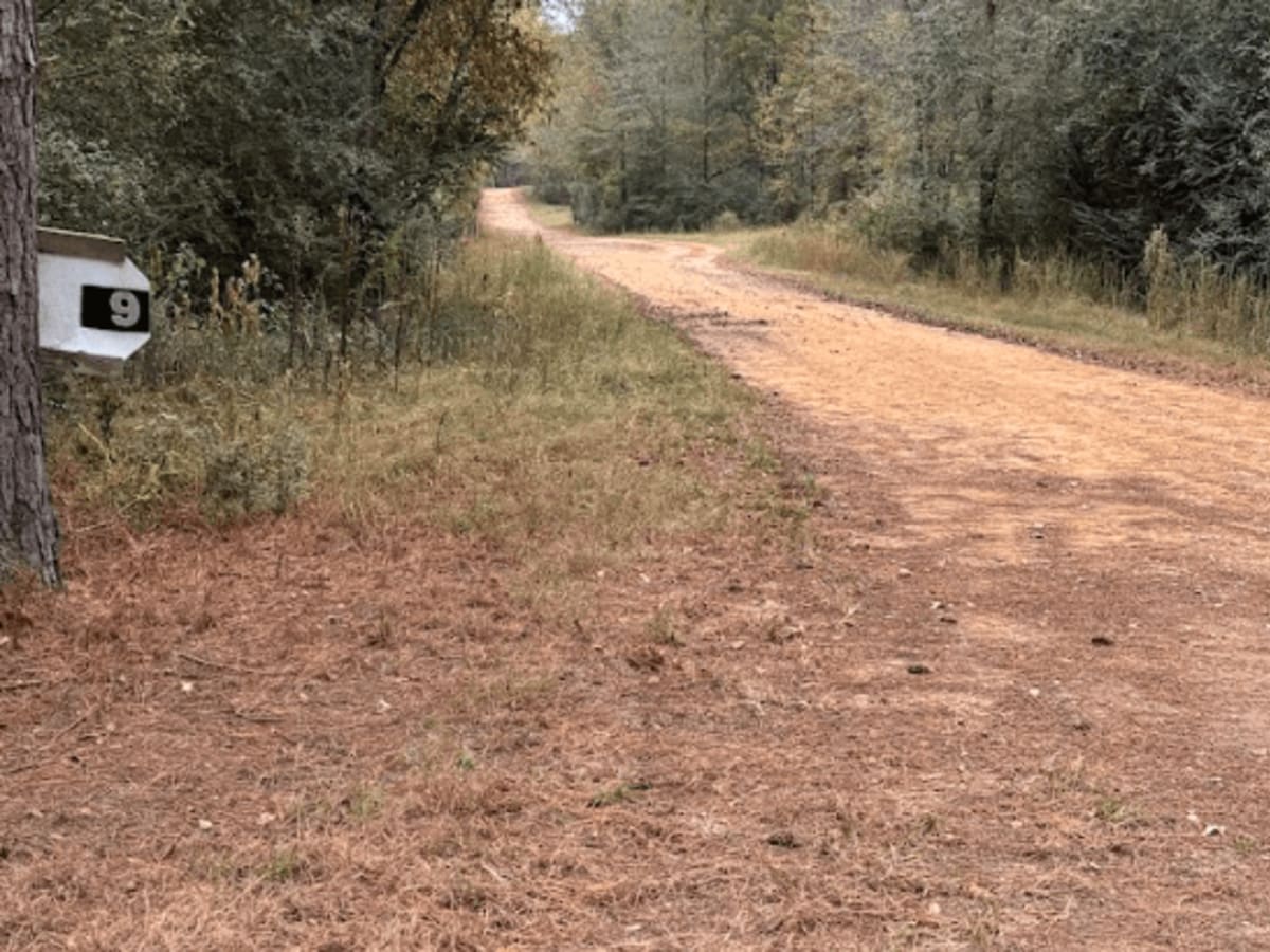 9 trail photo