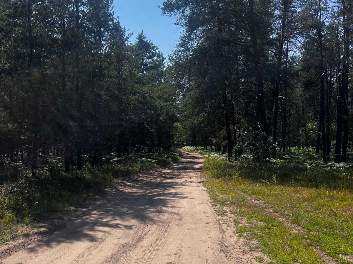 Twisty Weeble Wobble Camp Trail trail photo