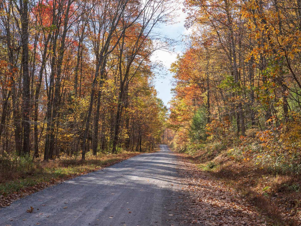 Hannah Furnace Road photo 5