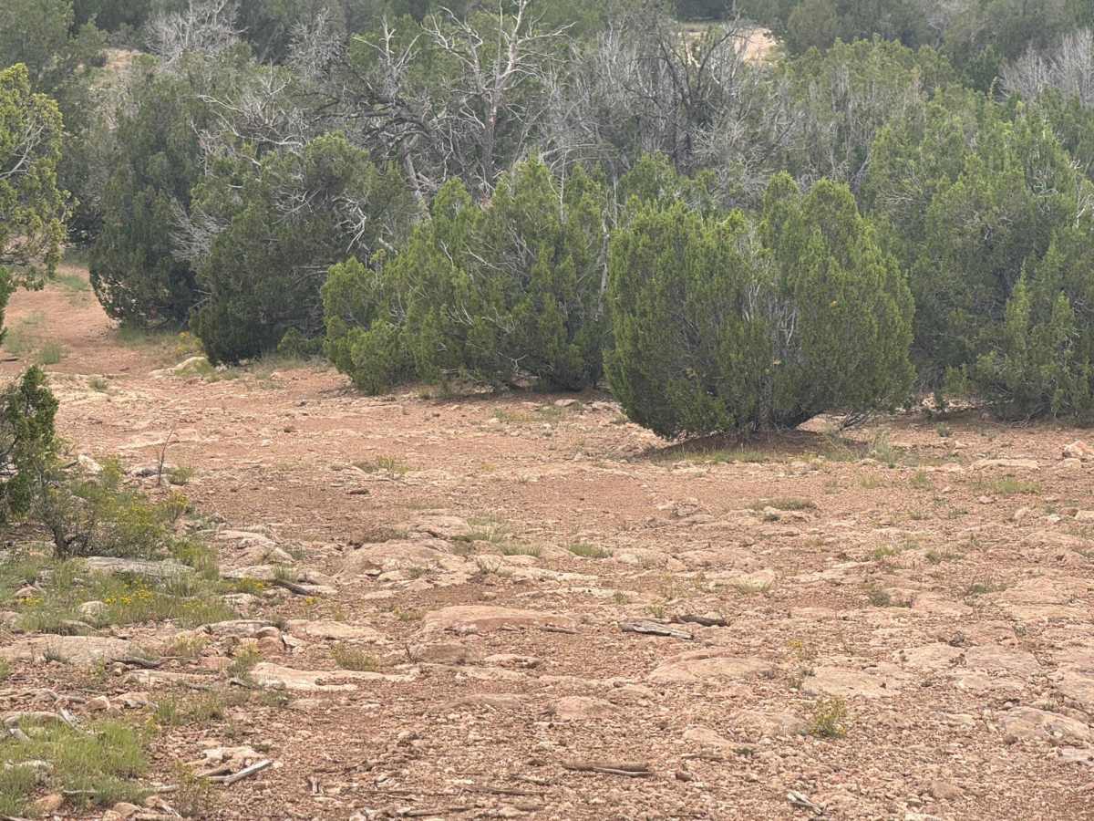 9423H Trail photo 4