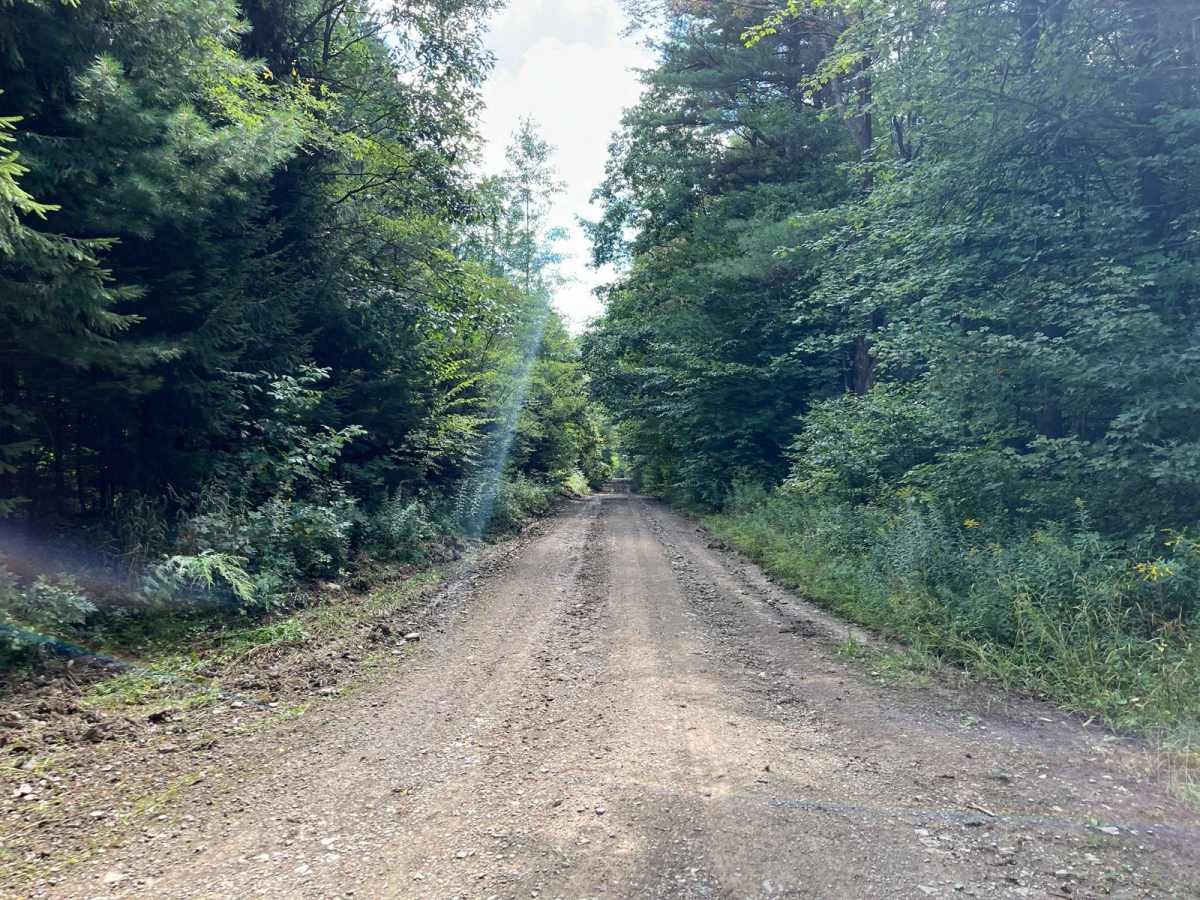 Todd Road photo 6