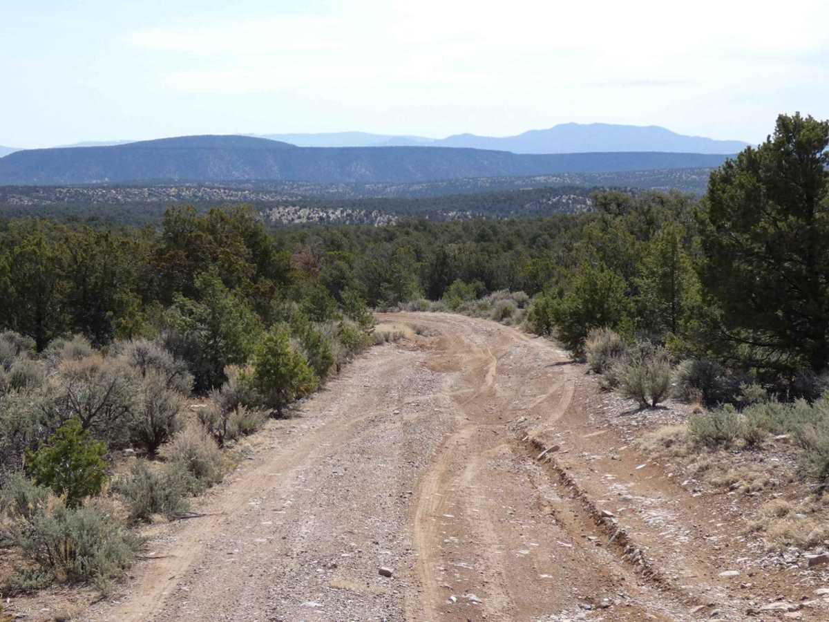 La Madera Loop FSR-222E trail photo
