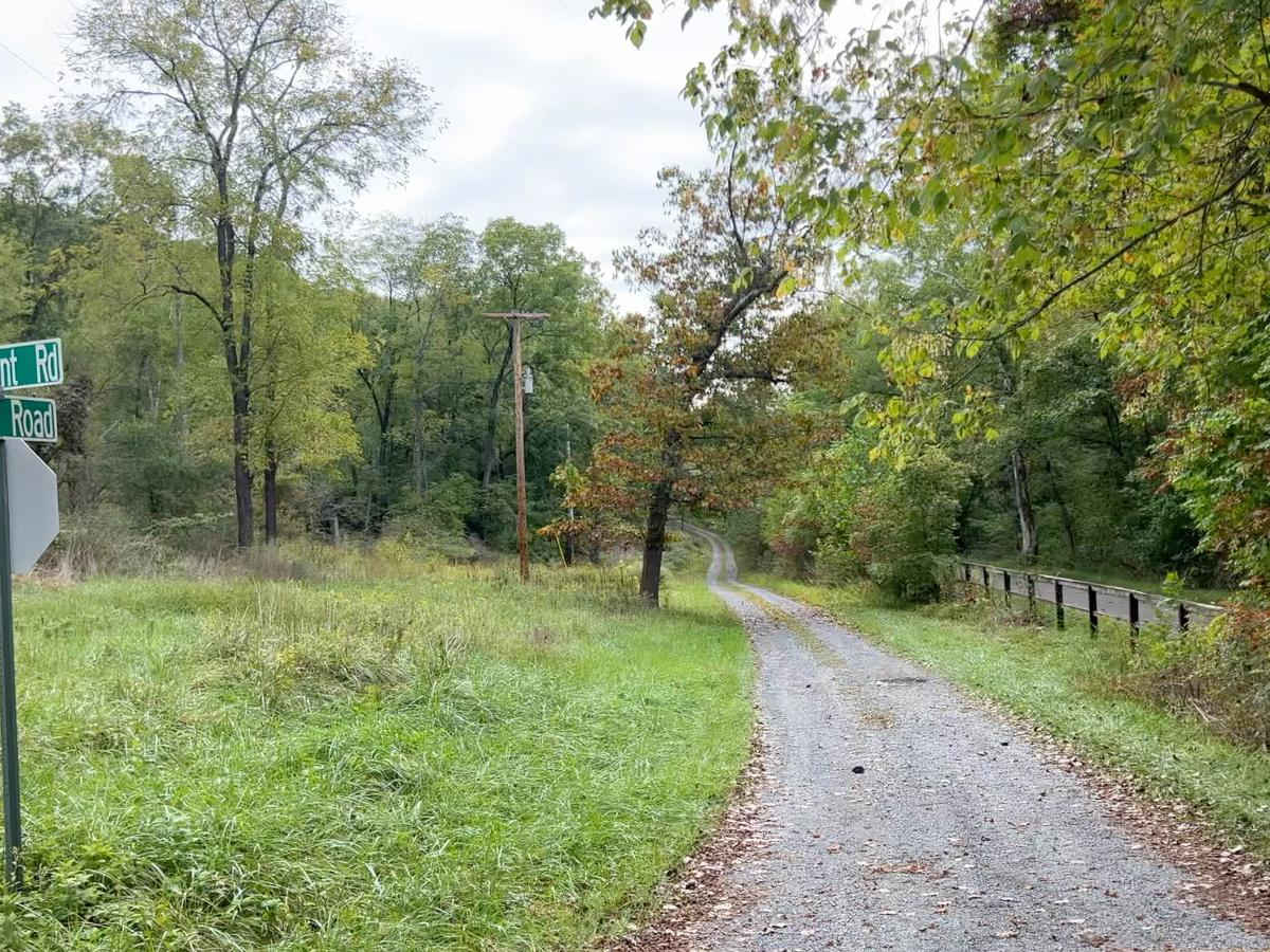 Pearre Road trail photo