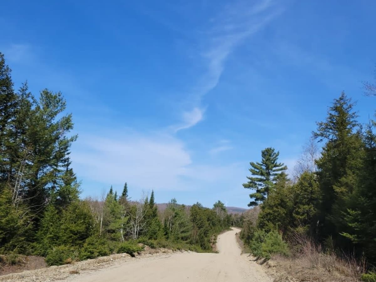 Oxhead Lakes Trail photo 6