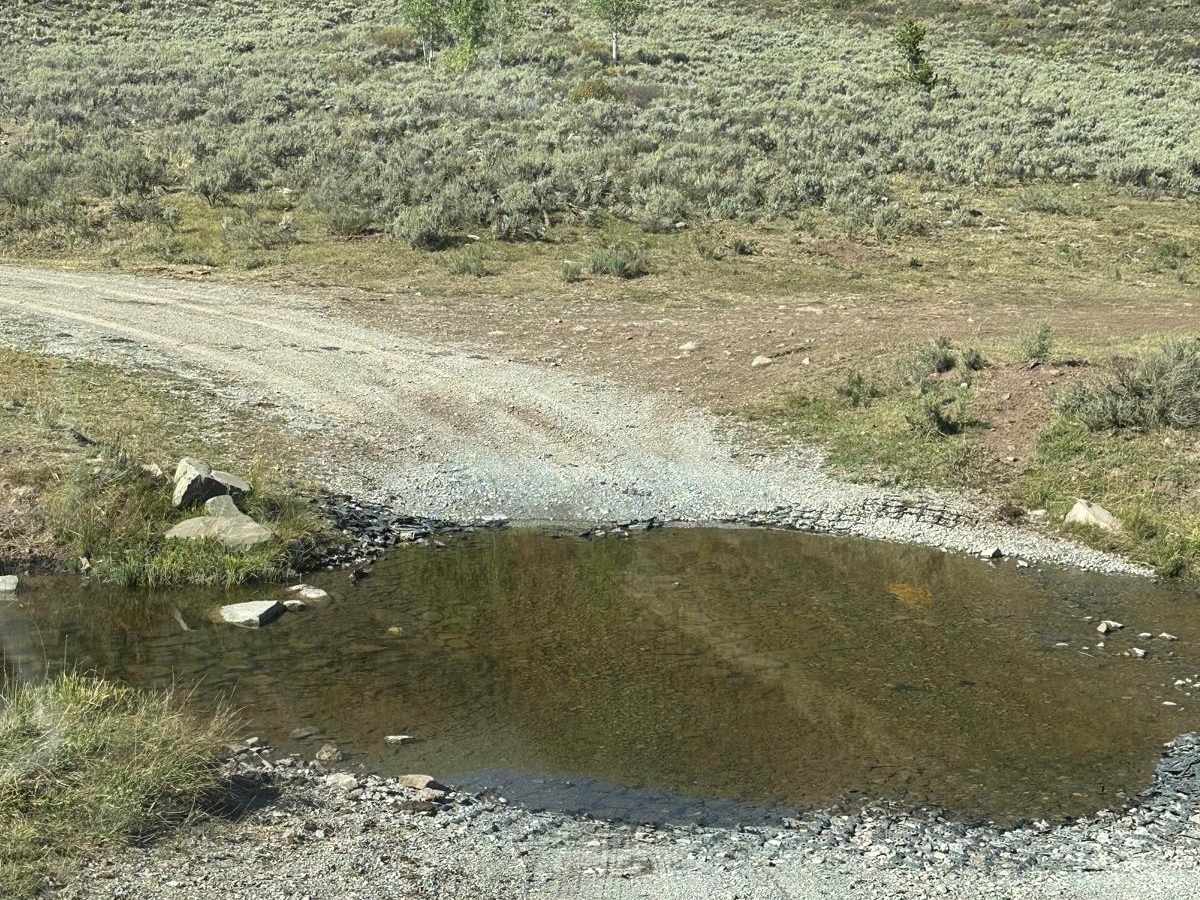 Elk Valley photo 3