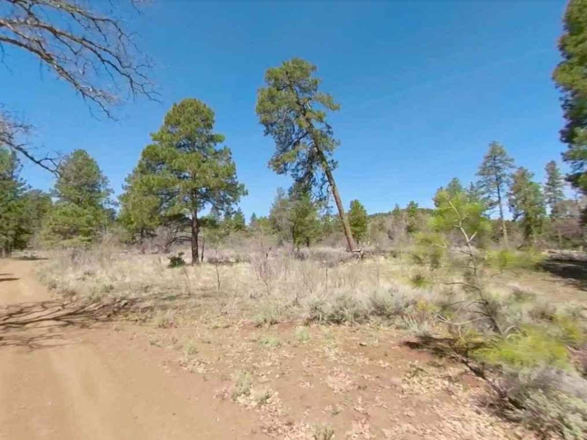 Nixon South Road BLM 1044 photo 4