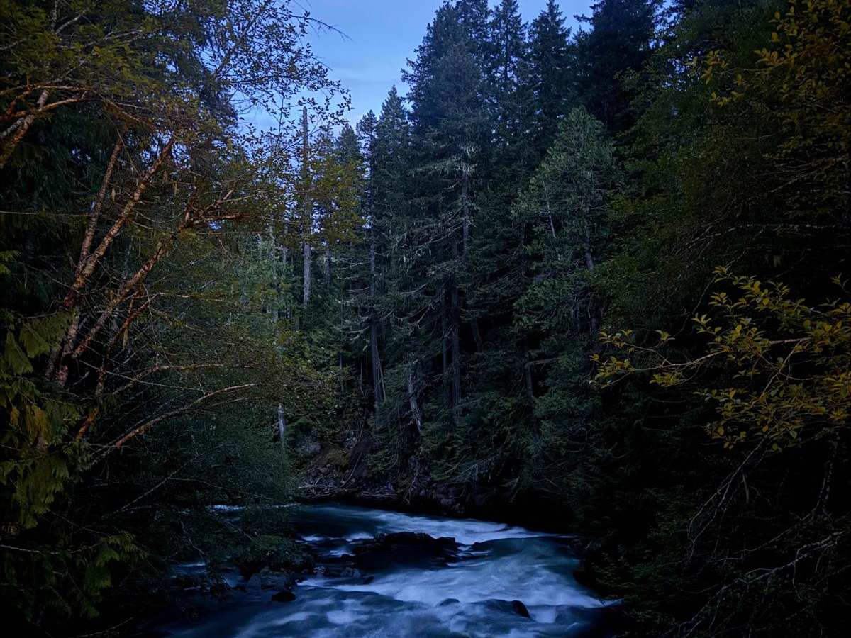 Spring Creek Road photo 2