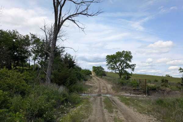 Southeast Wiedemann