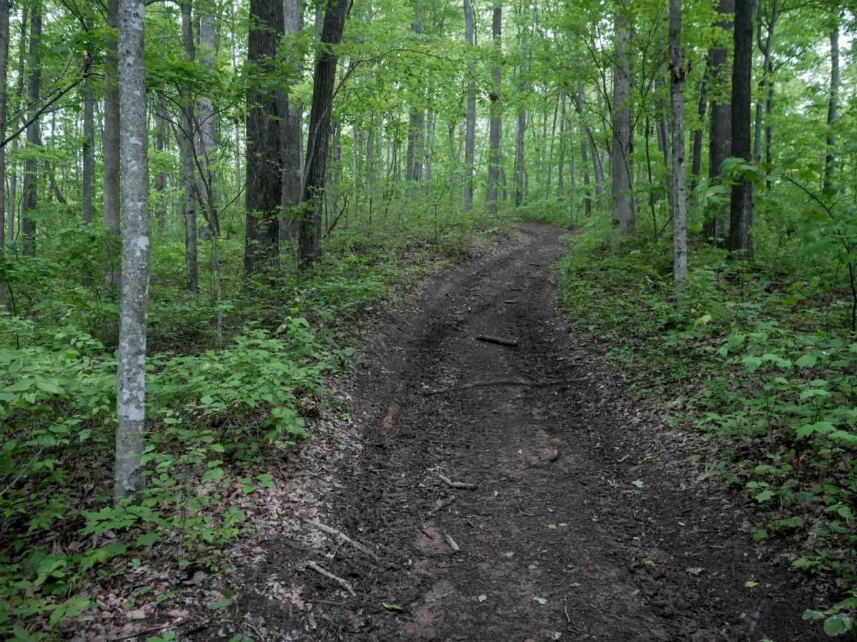J39 trail photo