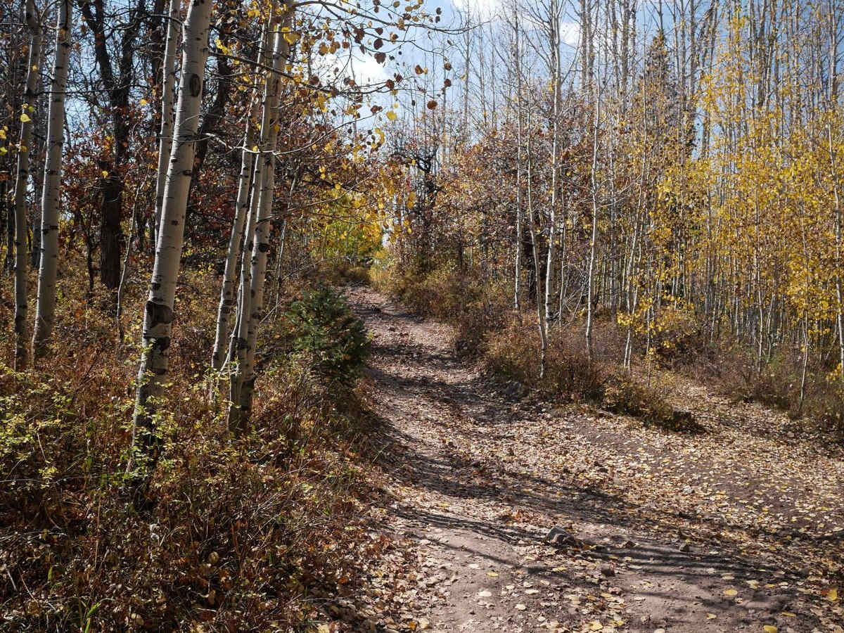 Spring Creek ATV Trail (West) photo 3