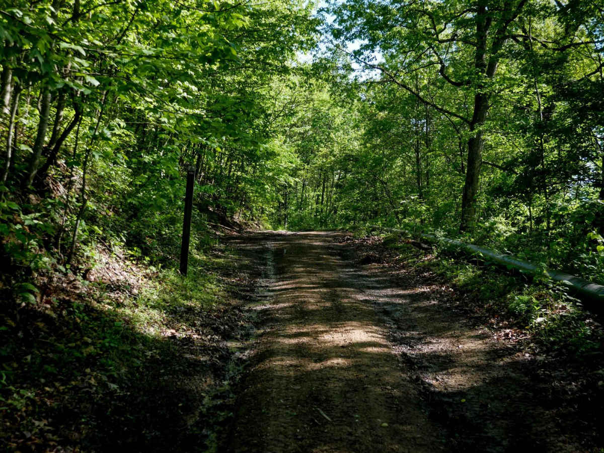 DA 133 trail photo