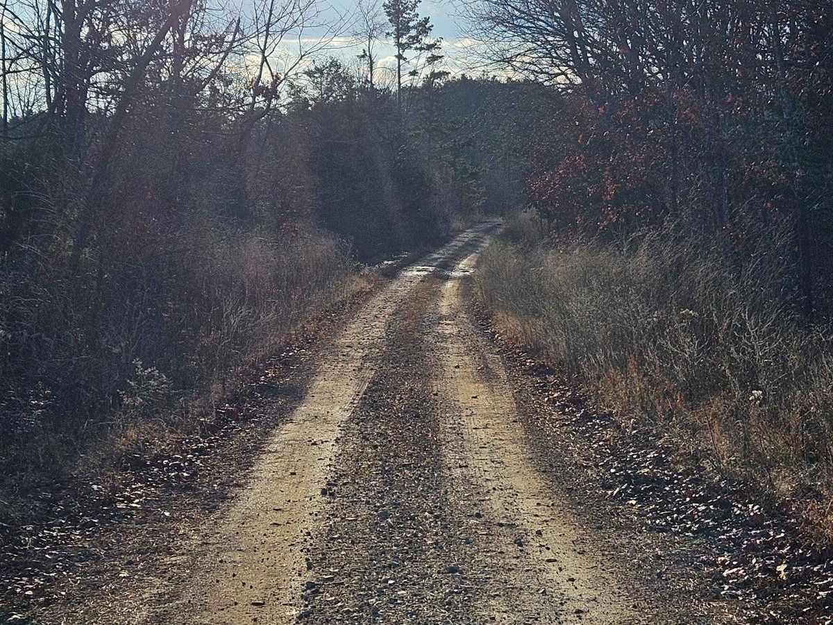 Palmer North - FSR 2695 photo 5