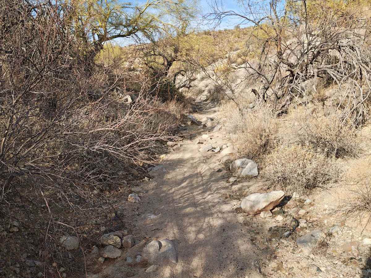 Wash Connector - Single Track photo 4