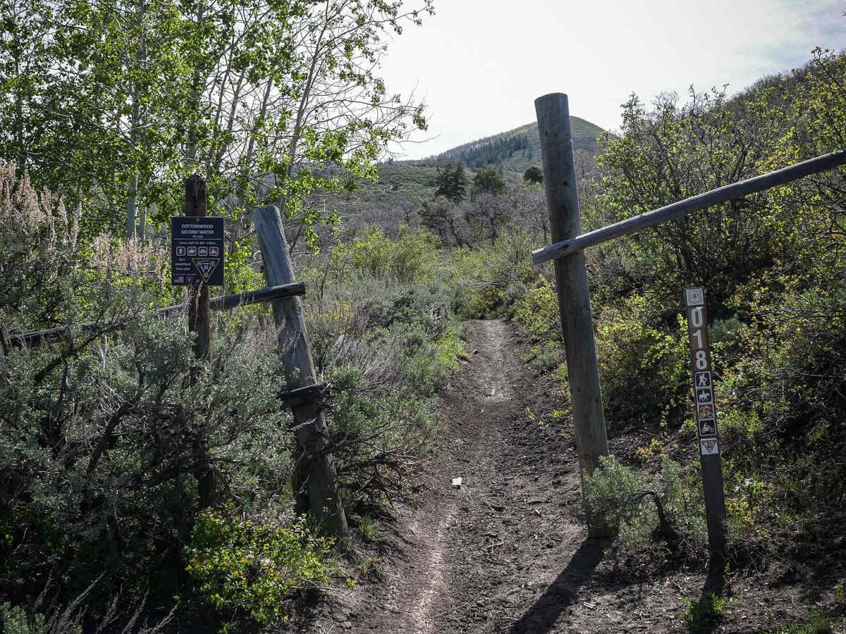 Cottonwood Second Water #018 trail photo