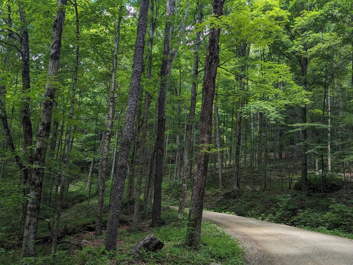 Cold Run Road photo 6