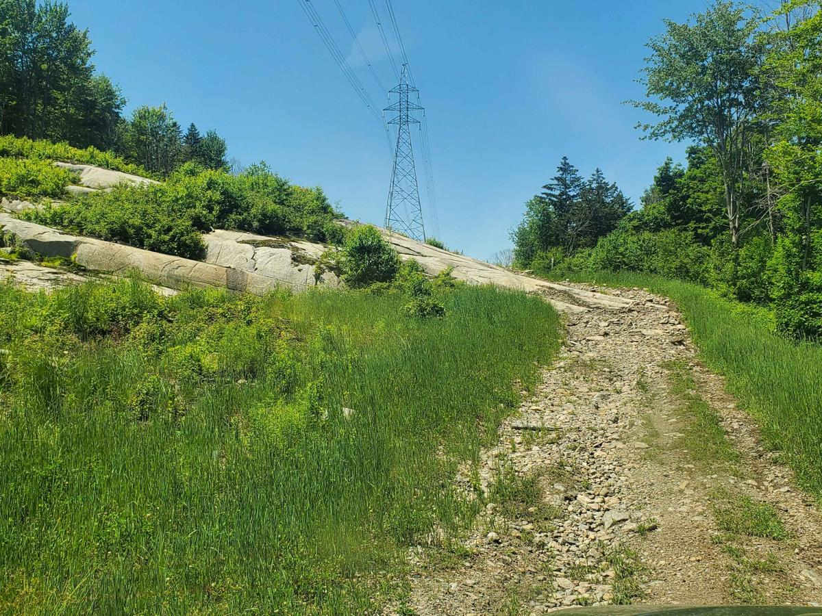 Pylon Pioneer photo 4