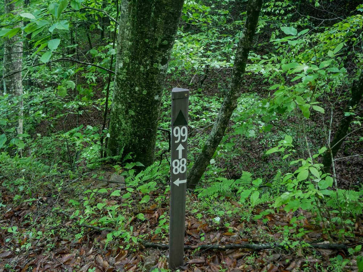 CC88 photo 6