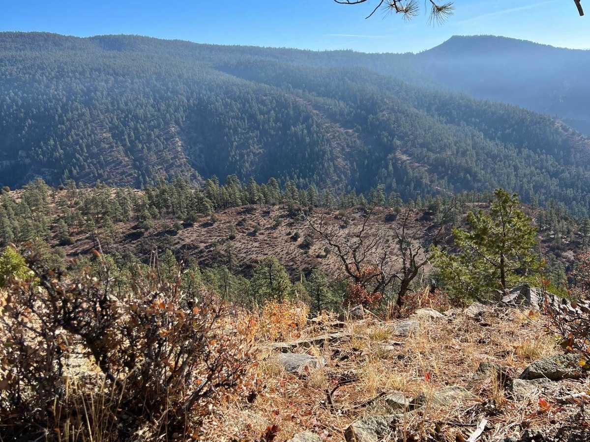 FR 708 trail photo