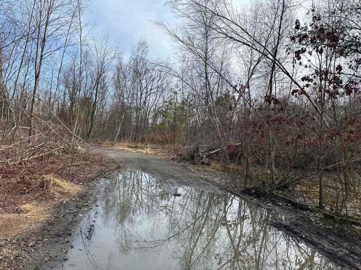 Ashland 93 trail photo