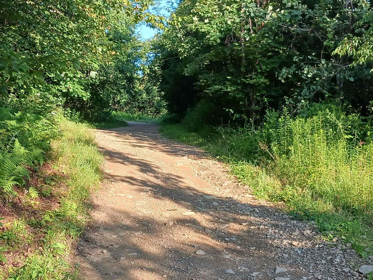 Trail 12B - Rock Run Recreation Area photo 6