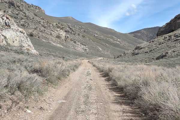 Wood Canyon - FS 561