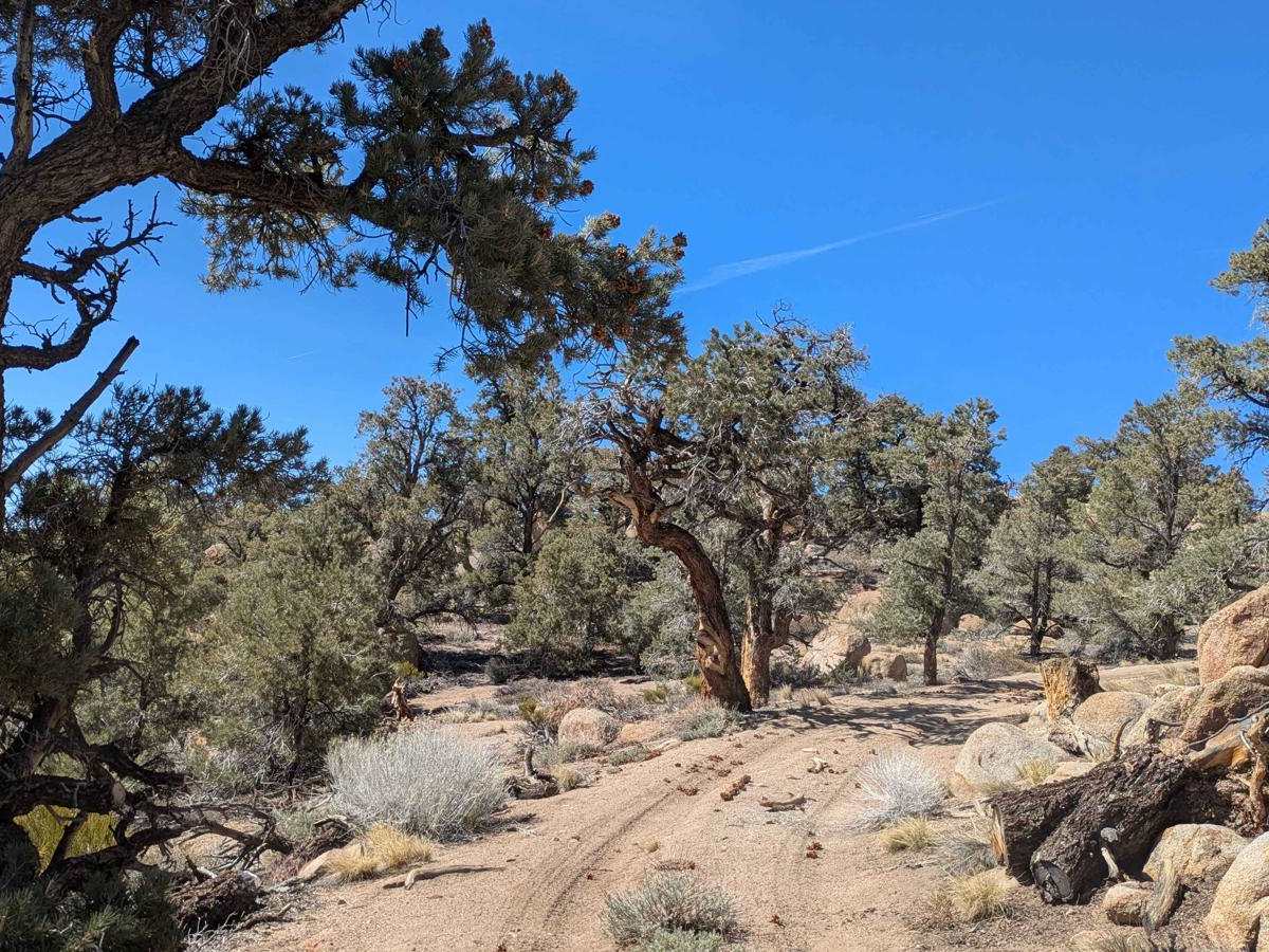 Casa Diablo Mountain FS S134 photo 3